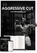 THE AGGRESSIVE CUT